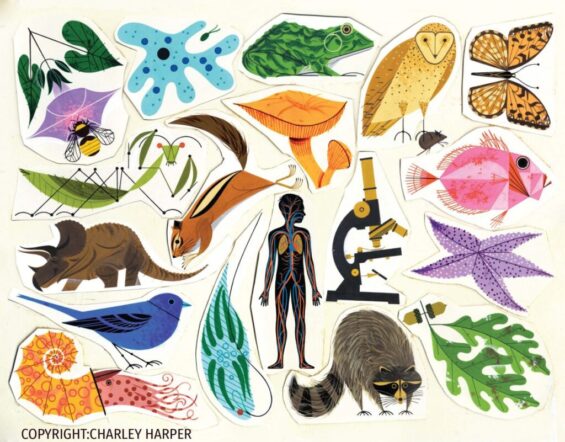 Charley Harper