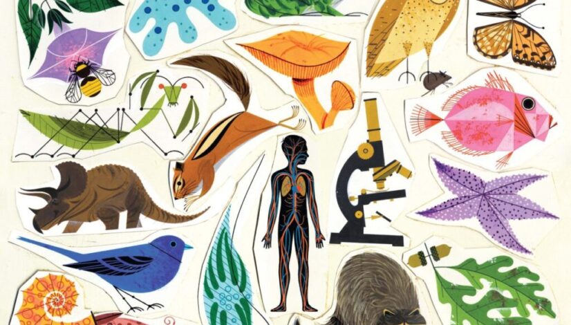 Charley Harper
